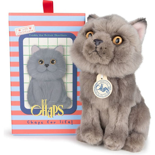 BT Chaps Freddy the British Shorthair Cat Plush in Giftbox - 6.5"