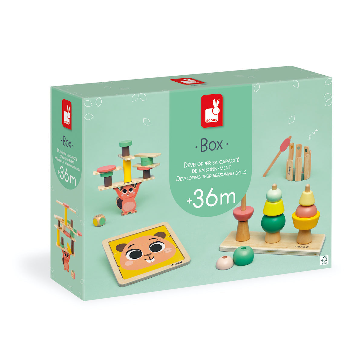 Janod Developmental Activity Box - 36 Months