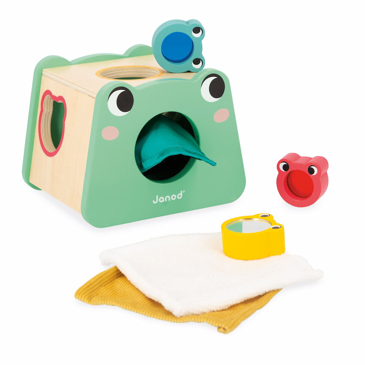 Janod Developmental Activity Box - 12 Months