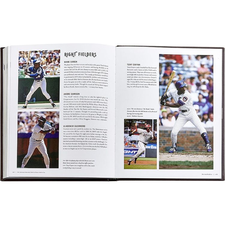 National Baseball Hall of Fame Book Leather Edition