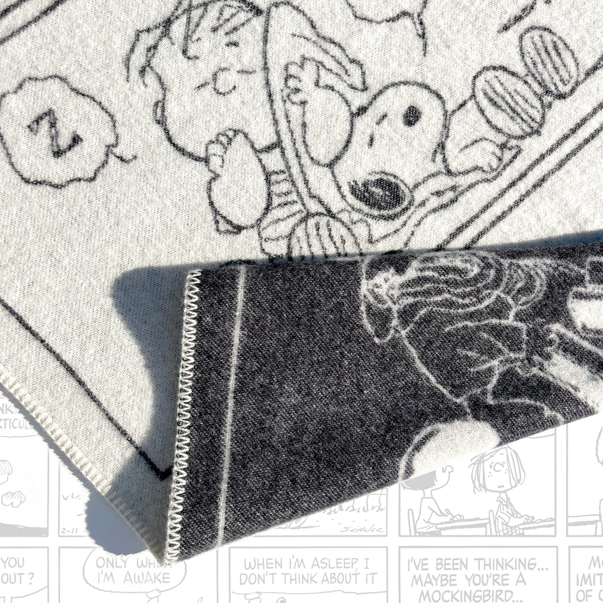 Peanuts Blanket Comic ZZZ