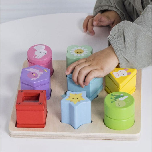 Rainbow Sensory Shape Sorter - 10 Pieces