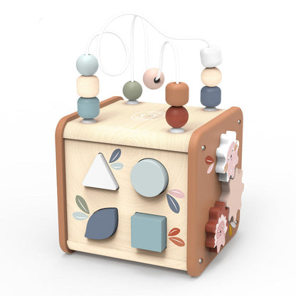 5-in-1 Activity Cube