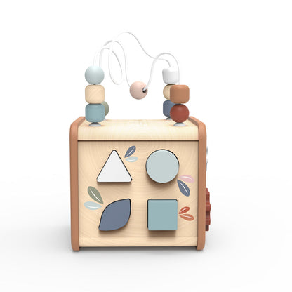 5-in-1 Activity Cube