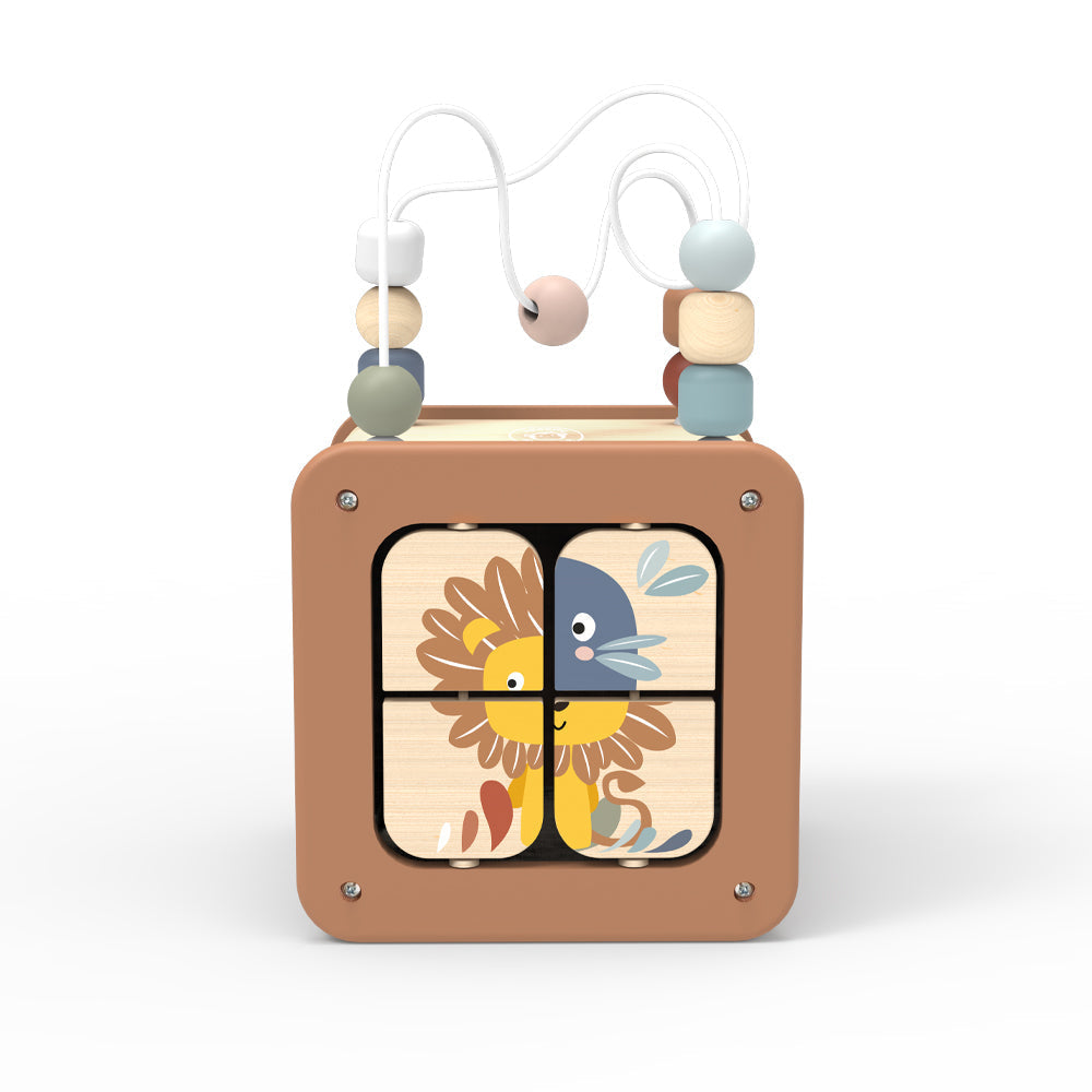 5-in-1 Activity Cube