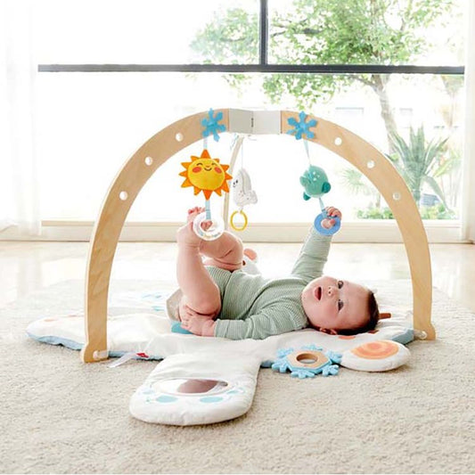 Snuggle Bear Activity Gym
