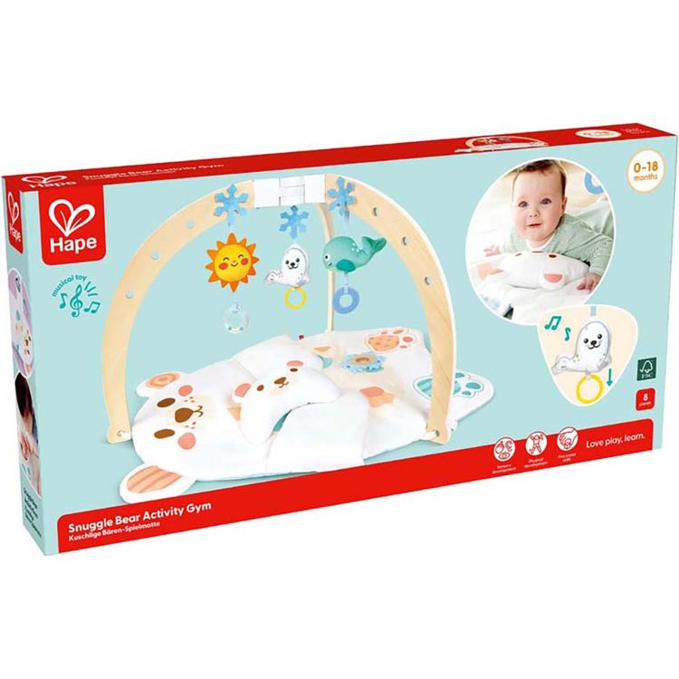 Snuggle Bear Activity Gym