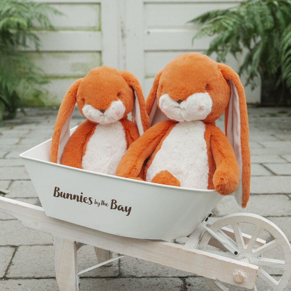 Sweet 16" Floppy Nibble Bunny – Carrot